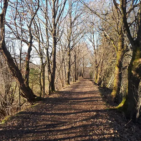 Ferienhaus Les Du Rancourt Capacite Maximum 15 Personnes Sainte-Ode