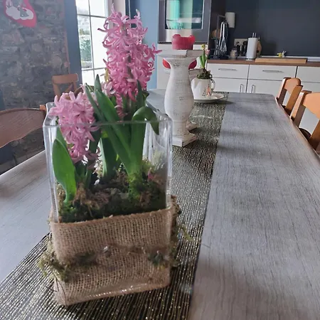 Les Du Rancourt Capacite Maximum 15 Personnes * Sainte-Ode